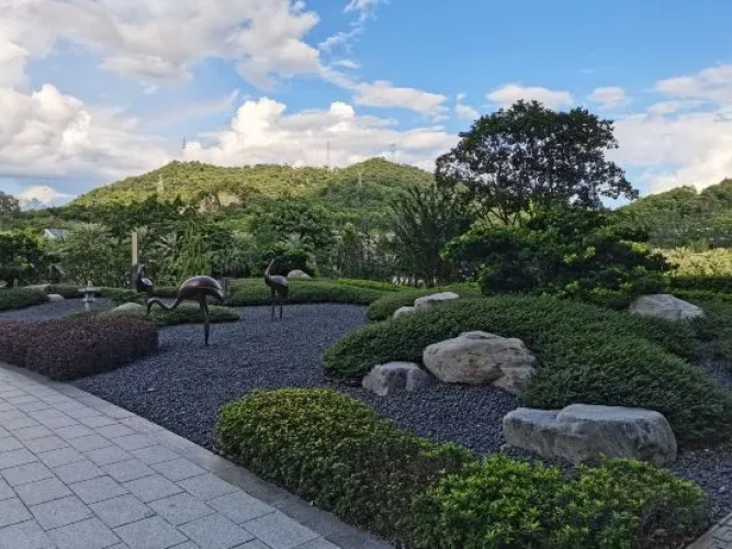 Outside