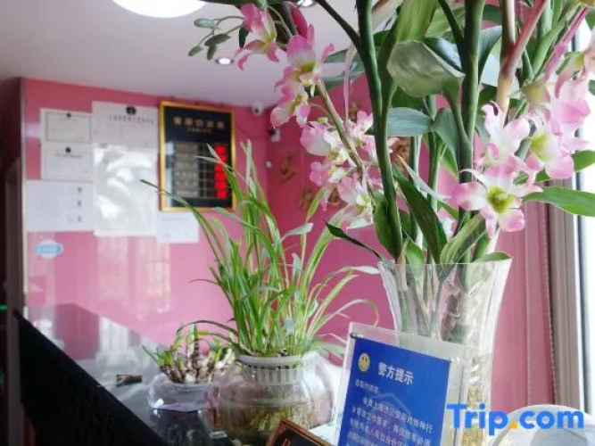 Xinyu Hostel