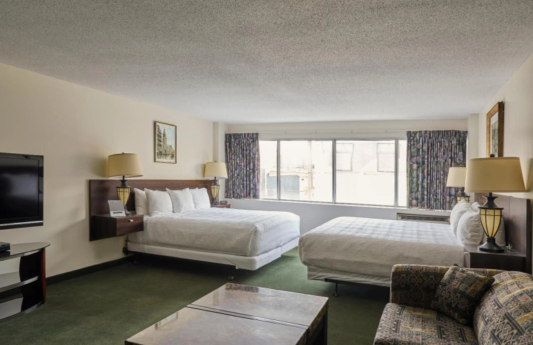 The Business Inn photo 7