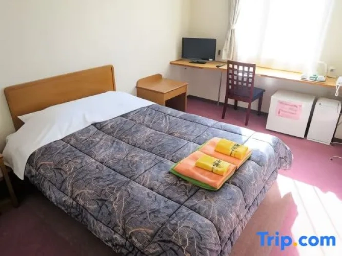 Standard Double room with city view