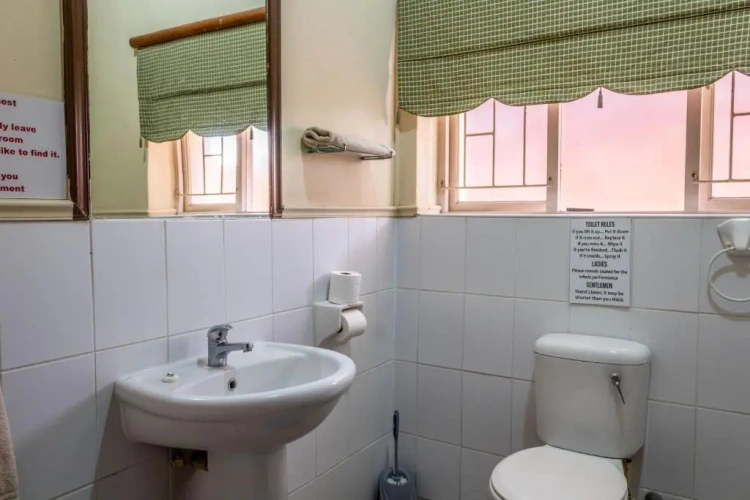 Standard Twin room with view