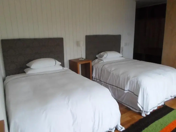 Standard Twin room with garden view