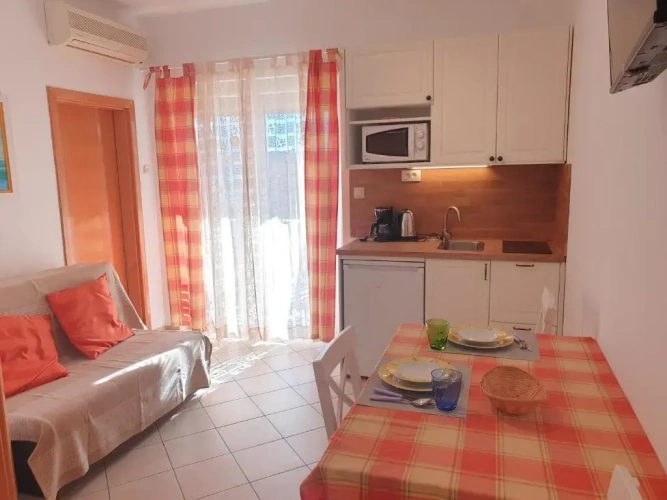 1 Bedroom Standard Apartment