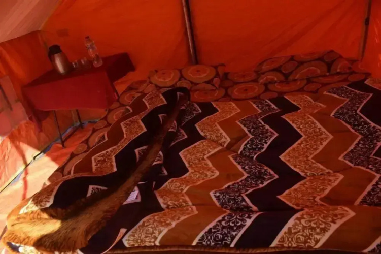 Grand Auli Camp