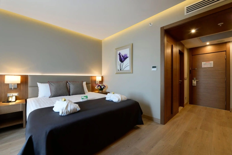 Standard Double room with city view