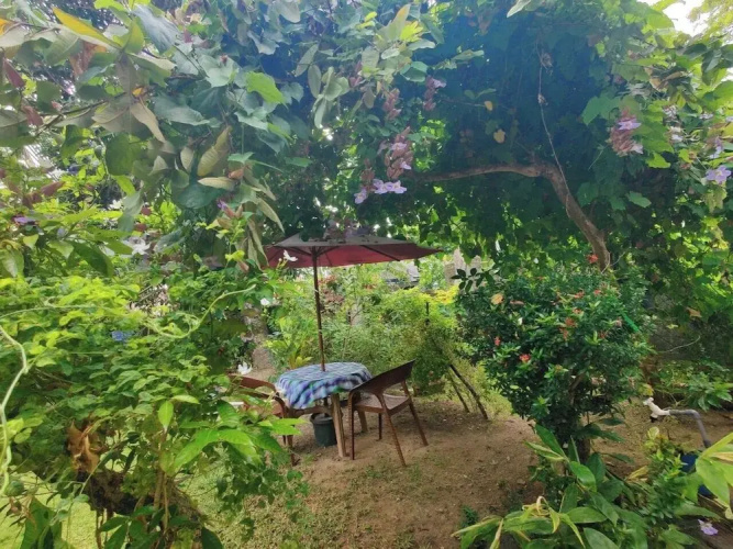 Samuu HomeStay