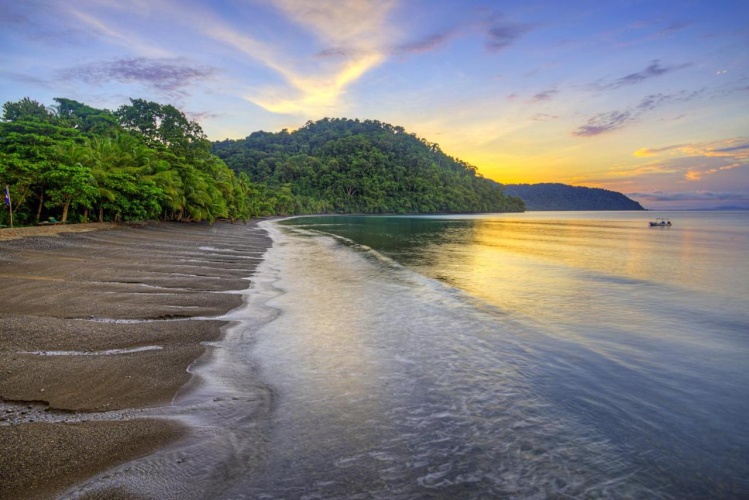 Playa Nicuesa Rainforest Lodge photo 6