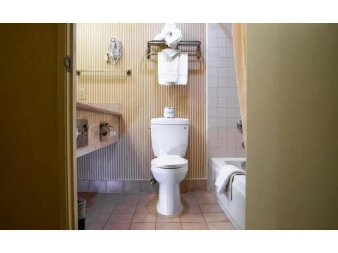 Quadruple Suite