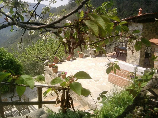 Farmhouse Castagnola 64 B&B