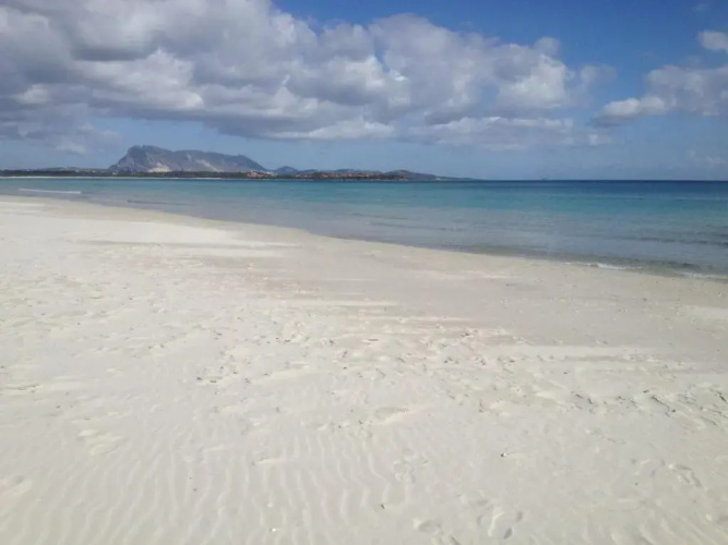 Appartamento Iris 300 mt spiaggia