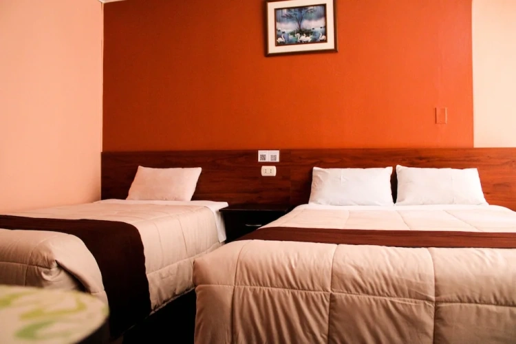 Economy Twin room