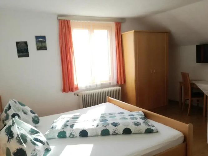 Standard Double room with mountain view