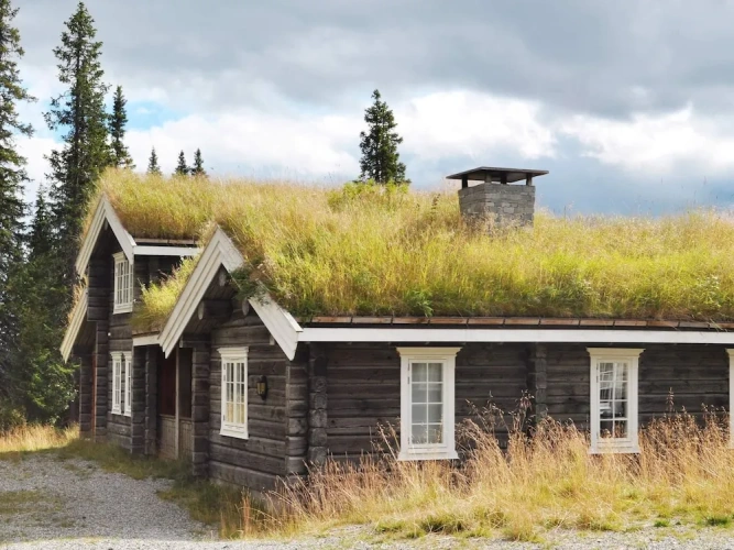 Cottage
