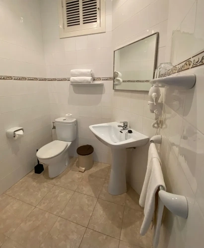 Standard Double room with balcony and with sea view
