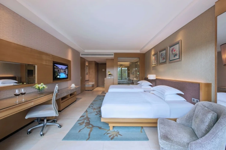 Deluxe Double room with view