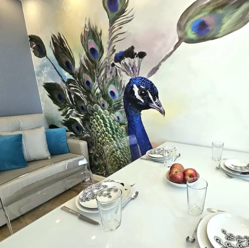 Comfort Apartment