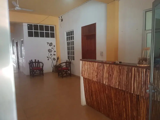Cedro Tulum