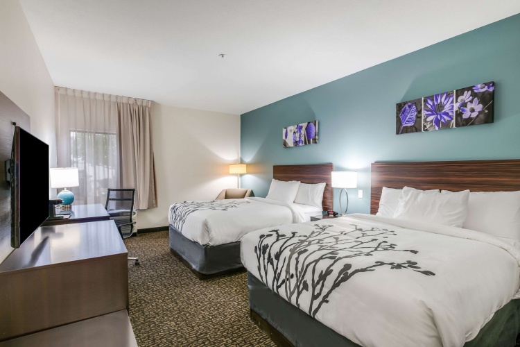 Standard Quadruple room