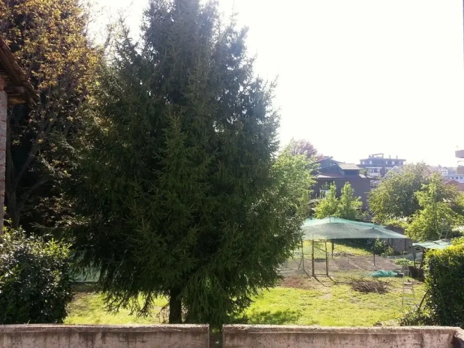 Standard Triple room with garden view