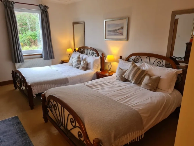 Deluxe Twin room with garden view