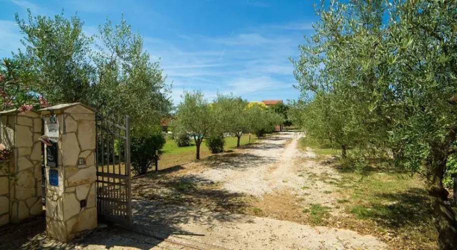 Apartments Grota