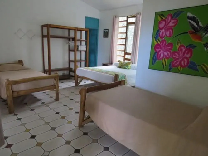 El Mono Loco Hotel