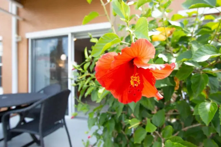 Hapimag Townhomes at Lake Berkley