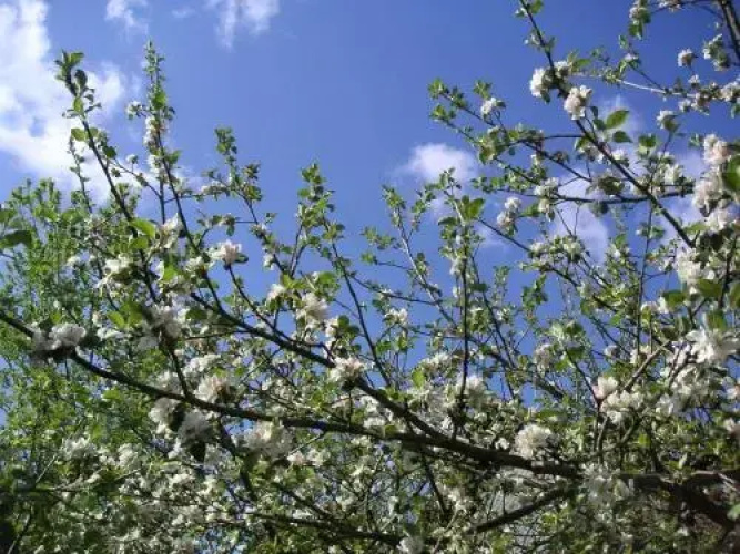 Landurlaub Thiem