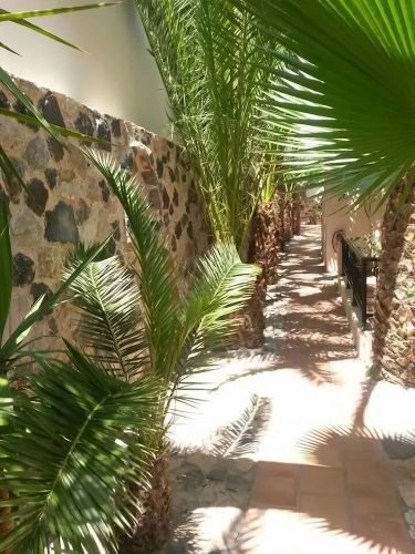 Economy Double room with balcony and with courtyard view