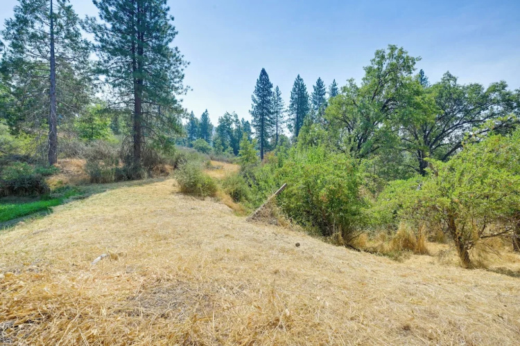 Rustic Cabin w/ Patio: 8 Mi to Kings Canyon Park