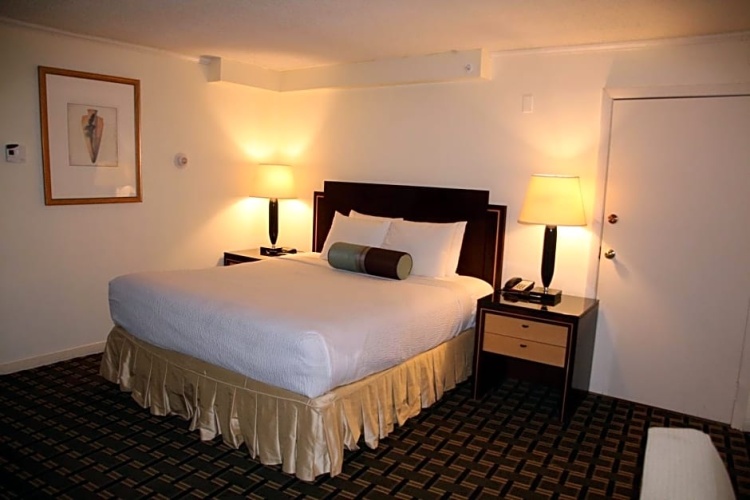 Deluxe Double Suite