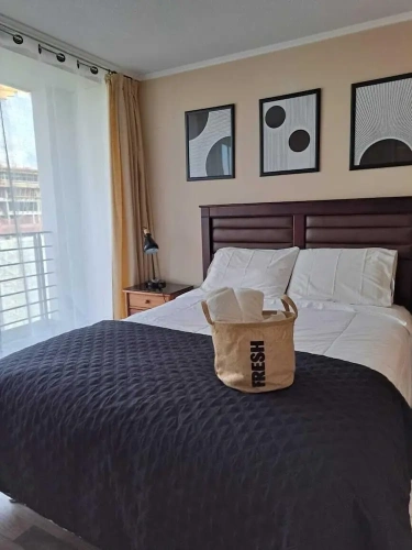 1 Bedroom Standard Apartment