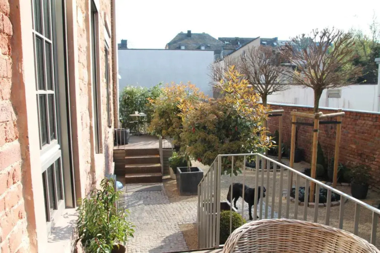 Junior Suite The Backyard TBY 01
