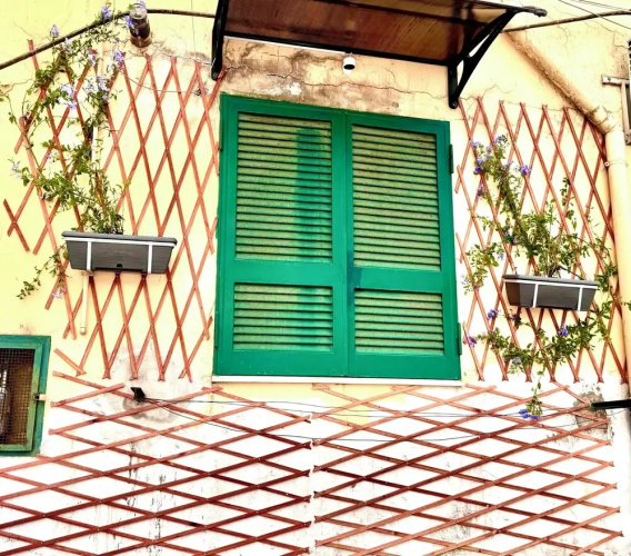 Monacos home and food