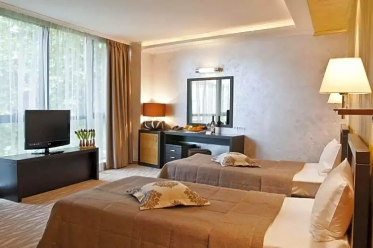 Deluxe Twin room with view