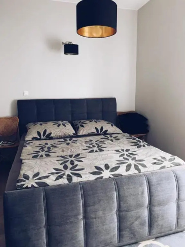Luxury Apartment