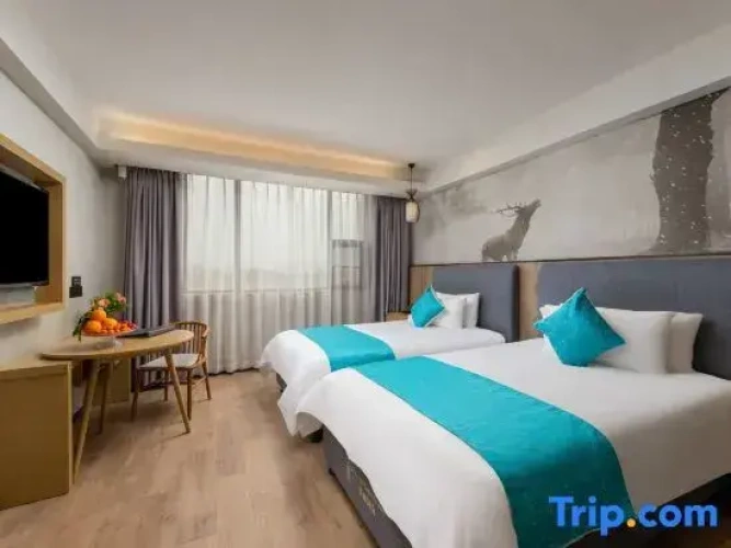 Standard Twin room with city view