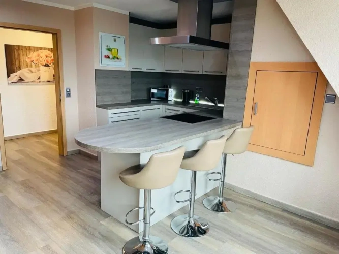 1 Bedroom Apartment
