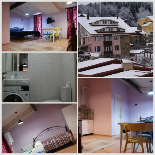 Dadus Bakuriani Apartment 172