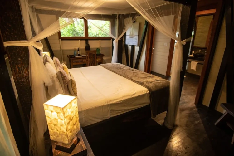 Luxury Double Suite beachfront