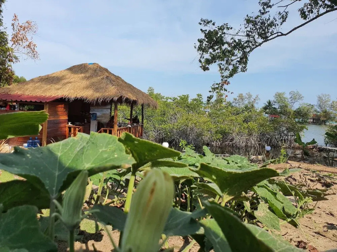 4k Camp Koh Rong