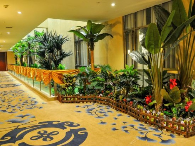 Hotel rooms