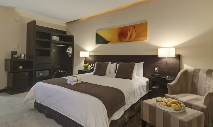 Studio Hotel BoutiqueOver view