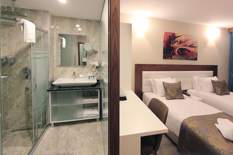 Standard Double room with city view