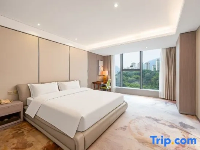 1 Bedroom Premier Suite