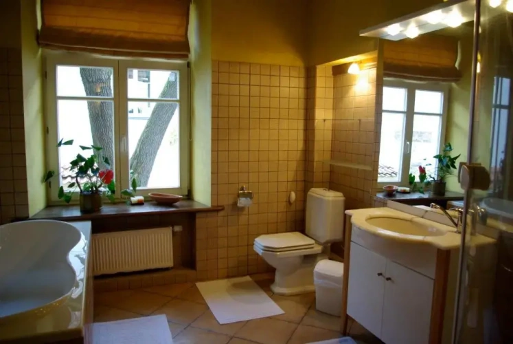 1 Bedroom Apartment