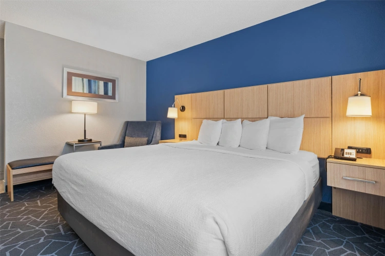 Standard Double room