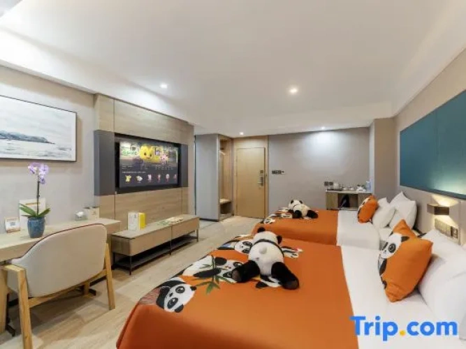 Standard Double room with city view