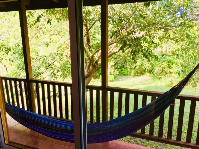 Deluxe Bungalow with view
