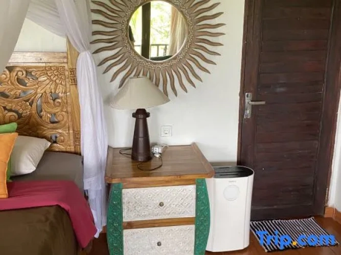 Deluxe Single room with mountain view